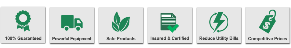 why choose our professionals